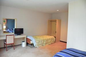 TV a/nebo společenská místnost v ubytování Hotel Bauhinia ホテルバウヒニア