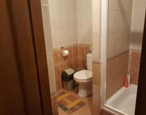 a small bathroom with a toilet and a shower at Daugavpils City Centеr Apartment in Daugavpils