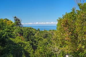 a view of the ocean through the trees at Kilala - executive home in Port Macquarie
