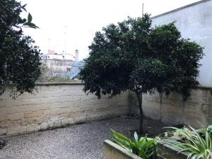 カヴァッリーノ・ディ・レッチェにあるMonterussi Bed and Breakfastの煉瓦壁の横の中庭の木