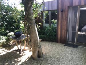 einen Stuhl neben einem Baum neben einem Haus in der Unterkunft B&B De Tuinkamer in Knokke-Heist