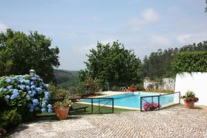 a swimming pool in a garden with blue flowers at Quinta de Santa Maria do Dao in Santa Comba Dão