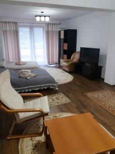a living room with a bed and a chair and a table at Busteni Mountain Suites in Buşteni