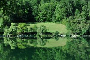 Blick auf einen See mit Bäumen und einem Feld in der Unterkunft Résidence les Bords du Lac in Le Lauzet-Ubaye