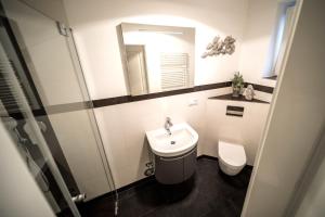 a bathroom with a sink and a toilet and a mirror at Duenenschloss in Westerland (Sylt)