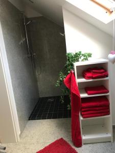 y baño con ducha y toallas rojas. en Eversberg nahe Meschede, en Meschede