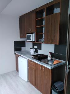 Dapur atau dapur kecil di Vinotéka "U Kozů"