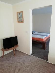 Zimmer mit einem Bett und einem TV. in der Unterkunft Pension Altwahnsdorf in Radebeul