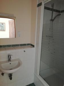 a bathroom with a sink and a shower at Pension Altwahnsdorf in Radebeul