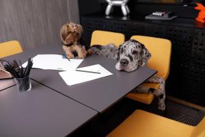 Ospiti di Link Hotel & Hub By Dan Hotels con animali domestici