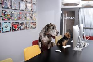 Ospiti di Link Hotel & Hub By Dan Hotels con animali domestici