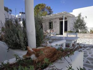 eine orangefarbene und weiße Katze, die vor einem Haus auf einer Wand liegt in der Unterkunft Thalassitra Private Pool Suites & Spa in Adamas