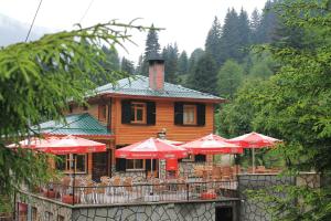 Foto de la galería de Ayder Avusor Hotel en Ayder Yaylasi