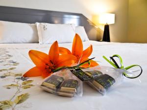 Postel nebo postele na pokoji v ubytování Hotel Eurotel El Bosque