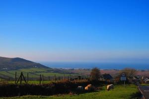 a group of sheep grazing in a field next to a road at King's Head Inn in Llangennith