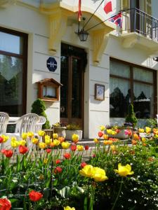 Zahrada ubytování Hotel des Alpes