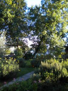 Garden sa labas ng Villa La Fagianaia