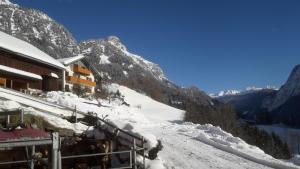 Mottnerhof during the winter