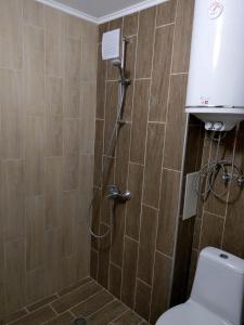 A bathroom at Sasso-студио 3