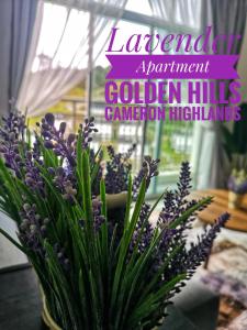 eine Vase voller lila Blumen auf einem Tisch in der Unterkunft Lavender Apartment 1BR Golden Hills Cameron Highlands in Cameron Highlands