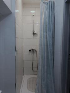 リスボンにあるLuz Soriano Apartmentのバスルーム(青いシャワーカーテン付)が備わります。