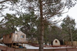 una cabaña en el bosque con nieve en el suelo en Pine Marten Bar Glenmore Treehouse en Aviemore