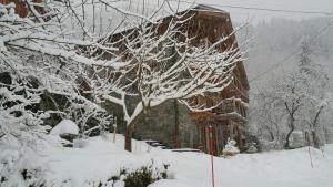 Chalet ZenArcs v zimě