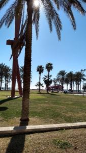 una palmera en un parque con palmeras en KHORS, en Málaga
