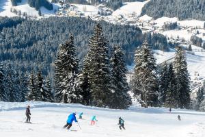 Foto dalla galleria di BS-Ötscher Hotel a Lackenhof