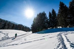 Foto dalla galleria di BS-Ötscher Hotel a Lackenhof