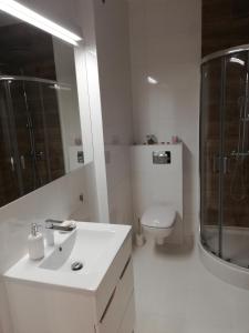 a bathroom with a sink and a shower and a toilet at Apartament Centrum Więckowskiego in Łódź