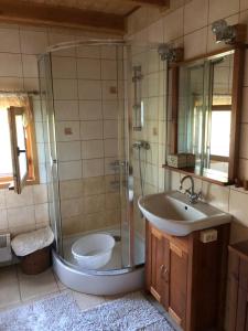 サシノにあるMiturówkaのバスルーム(シャワー、洗面台、トイレ付)