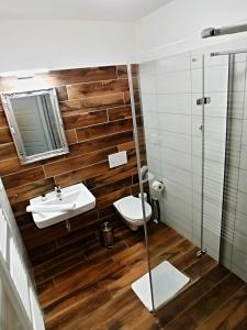 布爾哈里的住宿－Penzion jako víno，一间带水槽、卫生间和镜子的浴室