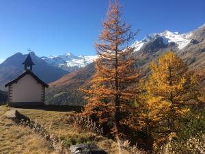 Photo de la galerie de l'établissement Apartment Bergfreude, à Saas-Grund