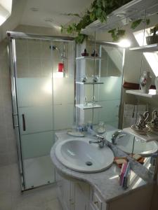 uma casa de banho com um lavatório e um chuveiro em Villa Garnier em Saint-Michel-sur-Loire