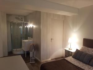 a bedroom with a shower and a bed and a sink at En campagne, confortable in Le Pouzin