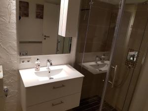 La salle de bains est pourvue d'un lavabo et d'une douche. dans l'établissement MinSion 38, à Altdorf