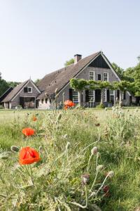 una casa con un campo de flores delante de ella en De Rheezer Kamer, en Hardenberg