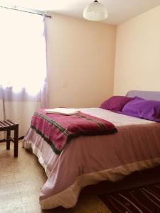 a bedroom with a bed with a blanket on it at Del Parque in San Salvador de Jujuy