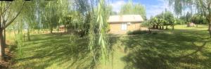 Ein Garten an der Unterkunft Cabañas de Campo Colbún