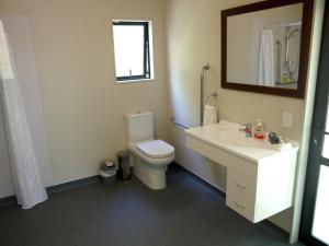 bagno con servizi igienici, lavandino e specchio di Forest View Franz Josef a Franz Josef