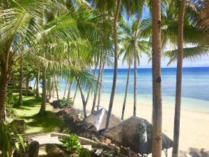 Blick auf einen Strand mit Palmen und das Meer in der Unterkunft Anda White Beach Resort in Anda