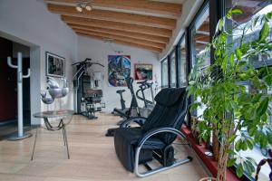 einen Fitnessraum mit Trainingsgeräten und Pflanzen in einem Zimmer in der Unterkunft Hotel Regina in San Martino di Castrozza