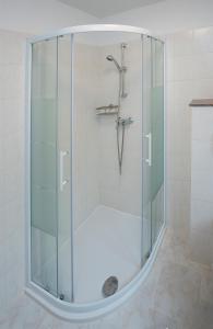 a shower with a glass enclosure in a bathroom at Ferienwohnungen Grimma 4 in Grimma