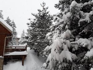 Le BezにあるL'Aster des Alpesの雪に覆われた木
