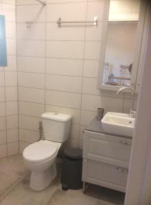 a white bathroom with a toilet and a sink at Kritikies Elyros in Pitsidia +11 photos