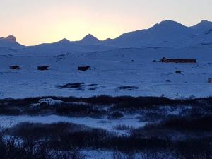 un grupo de animales en un campo nevado con montañas en Hotel Stundarfridur, en Stykkishólmur