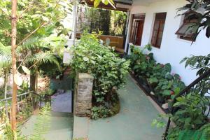 Giardino di Alex Home Stay