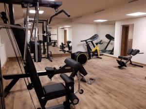 Centrum fitness w obiekcie Hotel Gundolf