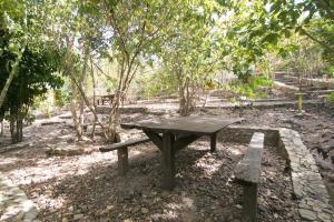 Imagen de la galería de Busuanga Backpackers, en Concepcion